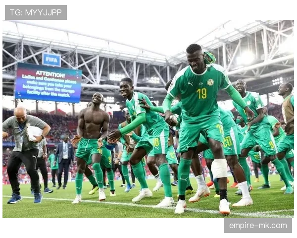 非洲杯冠军榜揭晓，历届荣耀引发球迷热议